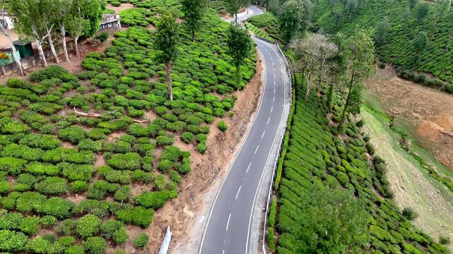 Cinematic aerial view of Valparai showcasing a smooth winding mountain road cutting through lush tea plantations, with neatly trimmed green bushes forming patterns across rolling hills.