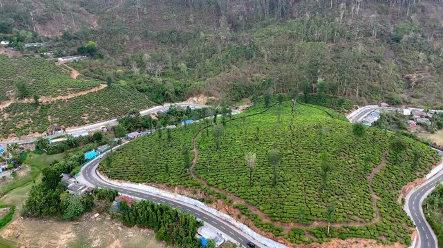 A wide cinematic aerial of Valparai highlighting a curving hillside road, textured tea gardens, and layered plantation slopes creating depth and natural beauty.