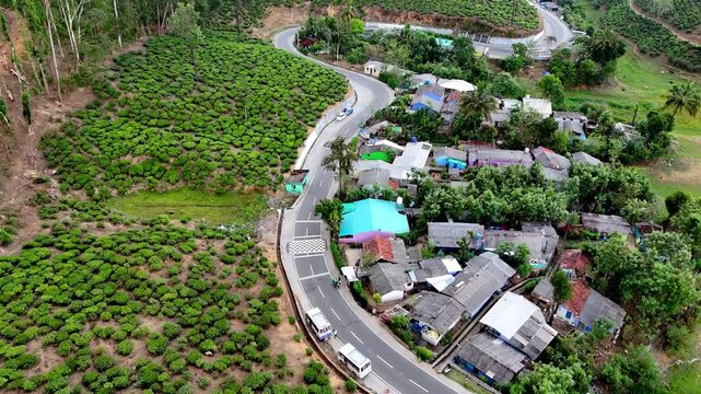 Drone shot capturing a serpentine road in Valparai surrounded by dense tea estates, tall trees, and contrasting patches of greenery and soil.