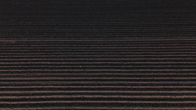 Tight Aerial Of Rhythmic Furrows On Dark Tilled Soil, Repeating Lines And Deep Shadows Create Moody Texture