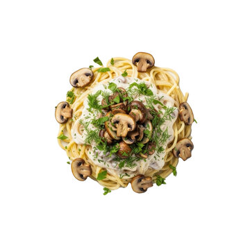 Perfectly styled al dente spaghetti pasta with creamy white sauce, sauteed mushrooms, fresh dill & parsley on a transparent plate, isolated on white. Gourmet Italian comfort food concept