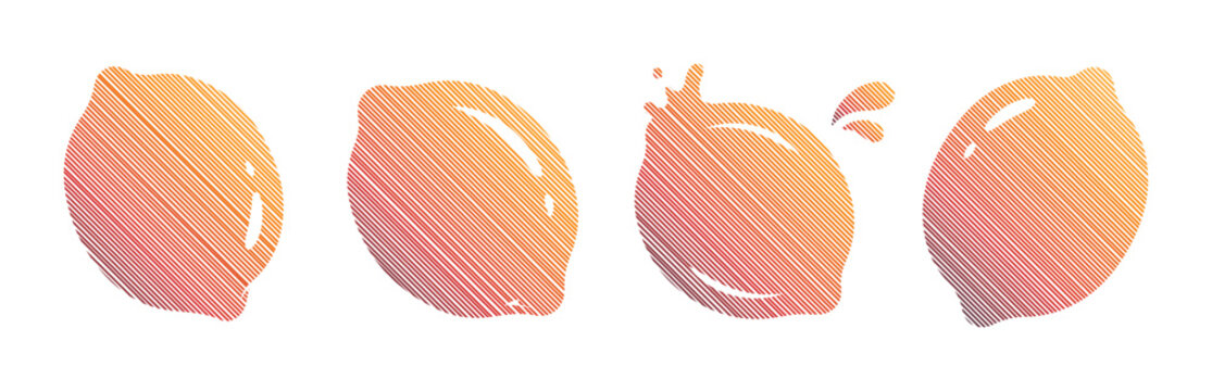 Four vibrant citrus fruits with a playful splash effect, rendered in a textured, gradient style.