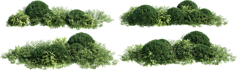 Obraz premium Shrubs and flower on a transparent background
