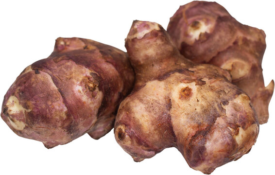 Fresh Jerusalem artichokes isolated on transparent background, PNG 