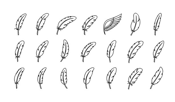 A set of minimalist feather illustrations in a simple black line art style