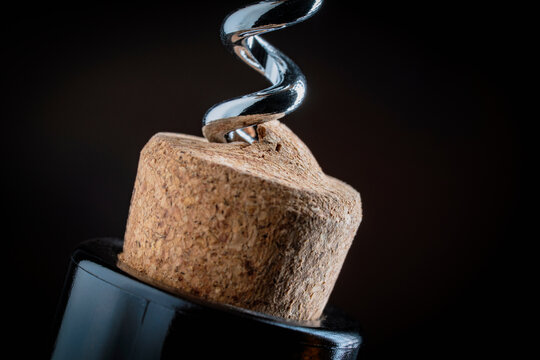 Macro of corkscrew opening wine bottle with natural cork. Closeup of a metal corkscrew twisting into a wine cork. Concept of opening a bottle celebration and winery service on a dark background