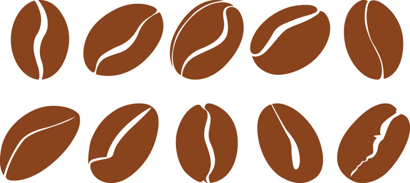 Ten Brown Coffee Beans with White Creases on White Background