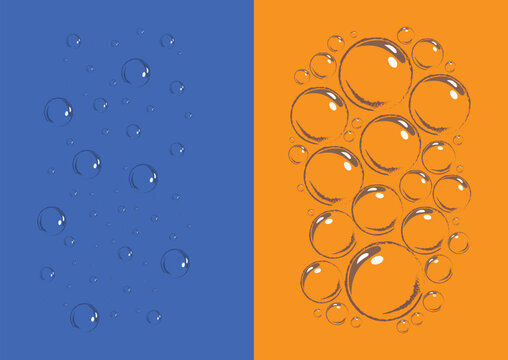 Realistic Water Bubble Vector Illustration on Color Background