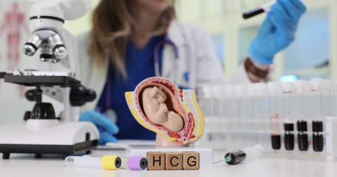 Wooden blocks spell abbreviation HCG by pregnancy model and lab tubes. Scientist takes sample reading test strip result while recording hormone level