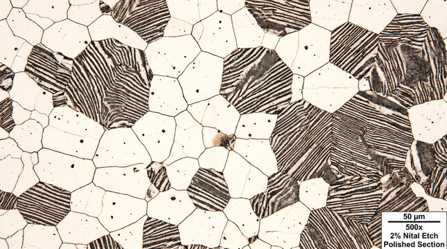 Microstructure steel showing ferrite and pearlite grains