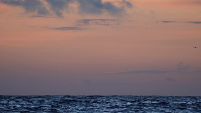 Golden Sunset Sea Background with Copy Space and Soft Focus Seabirds