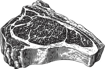 Obraz premium Illustration of raw ribeye steak with bone, meat cut detailed engraving
