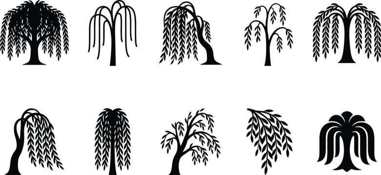 Set von zehn verschiedenen schwarzen Silhouetten von Trauerweiden-B&auml;umen.