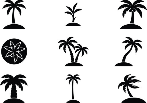 Sammlung von neun verschiedenen schwarzen Palmen-Silhouetten als Icons auf wei&szlig;em Hintergrund.