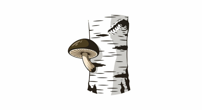 A mushroom sprouts from a birch tree trunk with dark spots