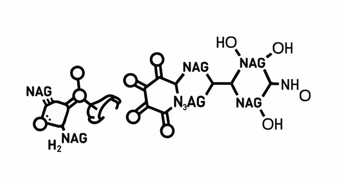 Chemical structure showing N-acetylglucosamine (NAG) and other molecular groups