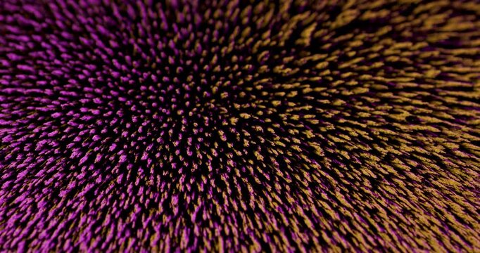 The dynamic visualization of metal particles as they react to magnetism is an ideal choice for motion graphics and abstract design, greatly enhancing both visual storytelling and artistic expression