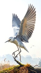 Fototapeta premium A white bird with outstretched wings perches on a branch