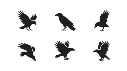 Fototapeta premium Set of black and white bird silhouettes representing crows or ravens in flight poses for design