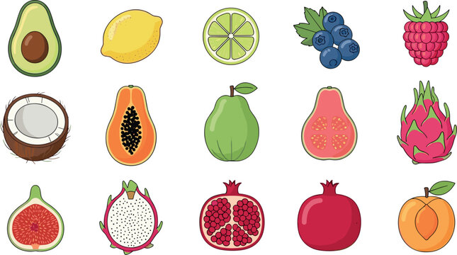 Hand drawn tropical fruit icon set with avocado lemon lime blueberry raspberry coconut papaya guava fig dragonfruit pomegranate