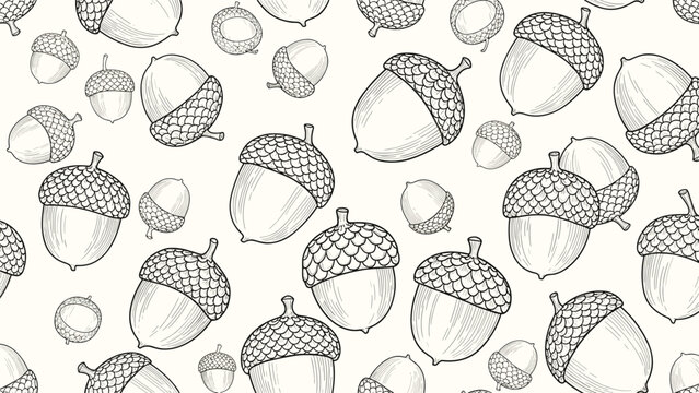 Detailed vintage style line drawing of scattered acorns in a seamless pattern for autumn themed textiles and seasonal background designs.