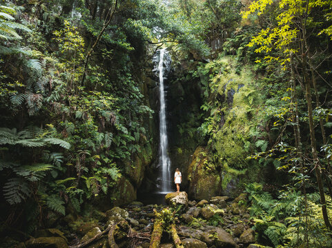 Aerial view of Rabo do Burro waterfall with a woman in a white dress standing on mossy rocks surrounded by lush green ferns and dense forest in Ponta Delgada, Madeira, Portugal.