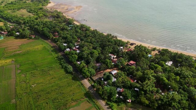 Aerial flyover of coastal road flanked by dense greenery and sandy beaches on Guimaras Island. Suitable for travel features or environmental projects.