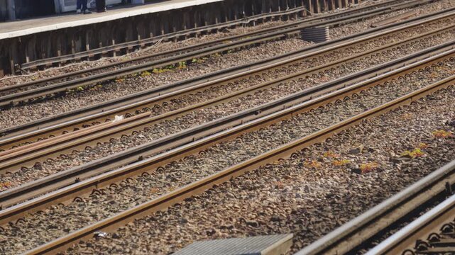 Pan Across Empty Train Tracks at Station. Public transportation, daily commute, urban travel.