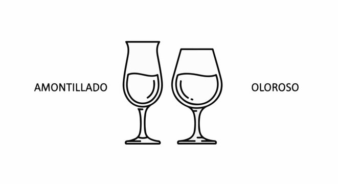 Line art shows two wine glasses with different shapes, labeled Amontillado and Oloroso