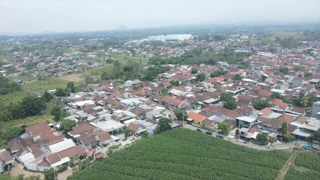 Aerial view of a dense residential area and green cornfields in a rural Indonesian village.