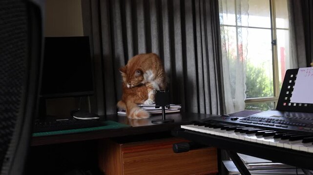 A ginger cat perched on a desk in a cozy home office, surrounded by electronic gadgets, sunlight streaming through a window. This inviting scene captures a serene moment of domestic bliss
