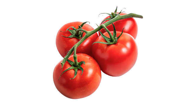Red tomatoes on a vine arranged in a cluster against a plain background in a kitchen setting during daytime isolated on transparent background