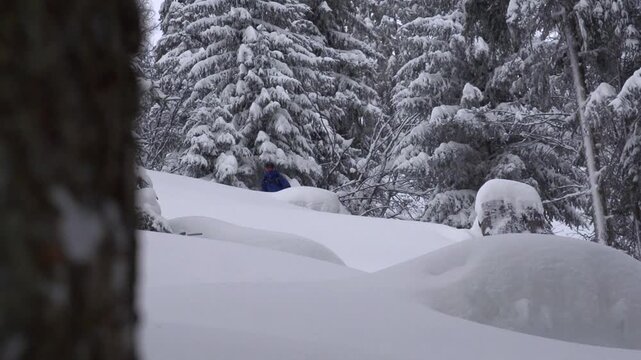 Ski de poudreuse en for&ecirc;t