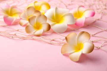 Obraz premium Beautiful plumeria flowers with net on pink background