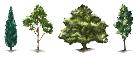 Fototapeta premium PNG Four diverse illustrated trees on transparent background