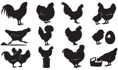 Chicken silhouette vector set, farm poultry bird icons including rooster and hen, black livestock animal graphics for organic food branding © Madaheen