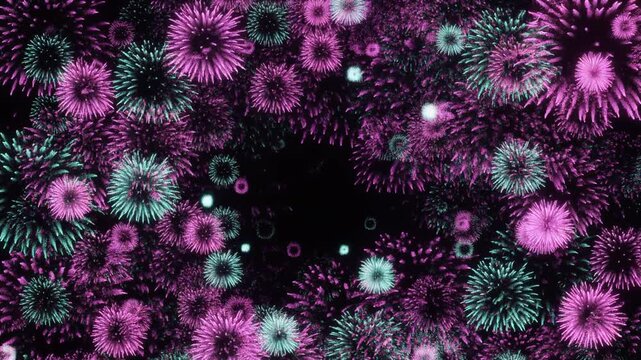 Pink and green fireworks forming a circular frame pattern on black background, symmetrical burst animation, celebration of Guy Fawkes Night or festival