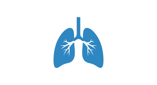 Human Lung Anatomy Illustration.