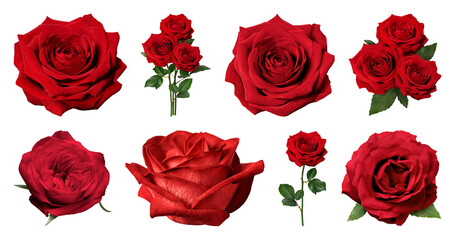 PNG Vibrant red roses arrangement on transparent background