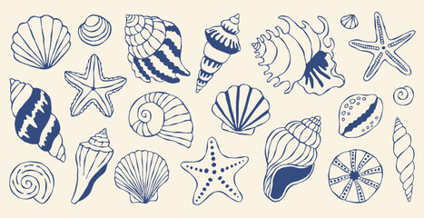 Mediterranean seashells vector set featuring blue hand drawn marine icons. Elegant nautical starfish and sea shells collection for coastal branding and summer design projects. Vector art set © spirka.art