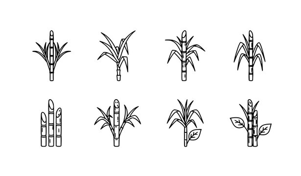 Sugar Cane Outline Icon Vector Illustration