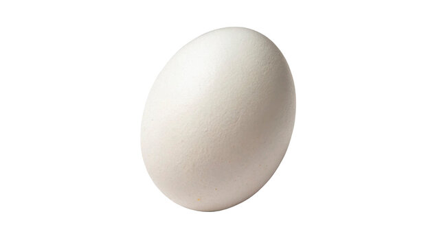 White egg sits on a plain white background in a simple setup for cooking and baking tasks with no other items present isolated on transparent background	
