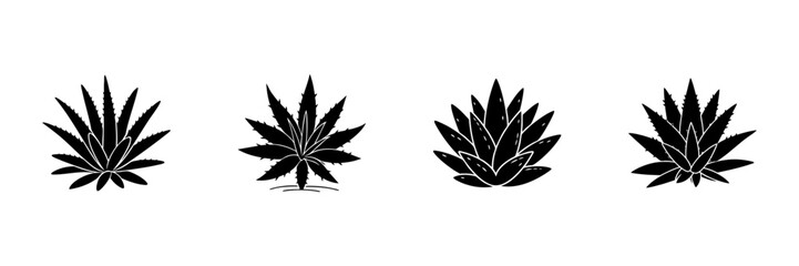 Obraz premium Silhouette Of Various Succulent Plants In Hand Drawn Style Set. Botanical Illustration, Nature Elements, Desert Flora Doodle Sketch Collection. Isolated Vector Illustration