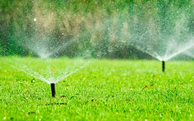 Fotobehang Olijf Automatic lawn sprinkler watering green grass in garden with adjustable head system, irrigation technology for water conservation and efficient landscape maintenance, outdoor residential yard care.  © Fahroni