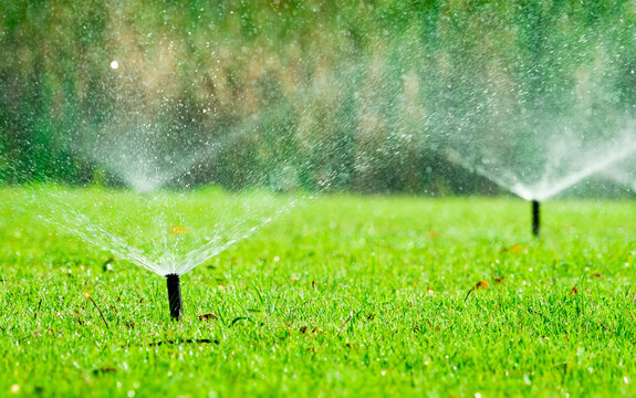 Automatic lawn sprinkler watering green grass in garden with adjustable head system, irrigation technology for water conservation and efficient landscape maintenance, outdoor residential yard care.
