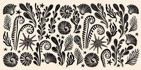 Black and white botanical illustration featuring shells ferns and starfish © BelaRani