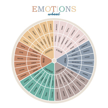 Vector Emotions Wheel colorful infographic