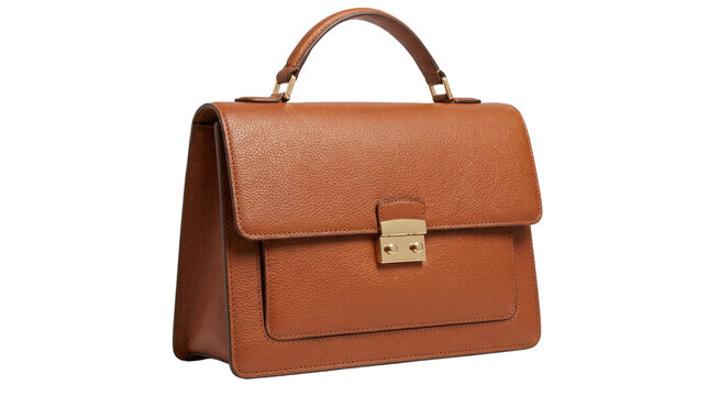 Luxury brown handbag for modern women professional style fashion