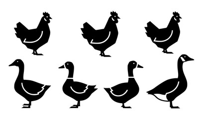Minimal poultry silhouettes vector chicken duck goose simple farm bird icons © Wahida