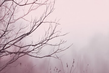 Obraz premium Nature's tranquility: bare branches against a soft pink hazy sky